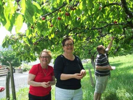 cherry picking 2